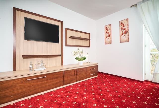 Duplex