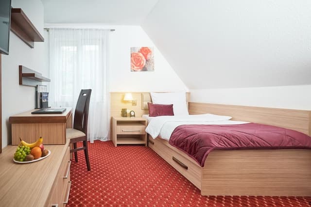 Single Room, Non Smoking