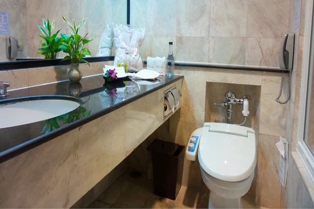 Executive Double or Twin Room
