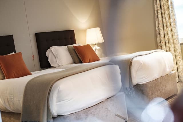 Deluxe Double or Twin Room (Shower)