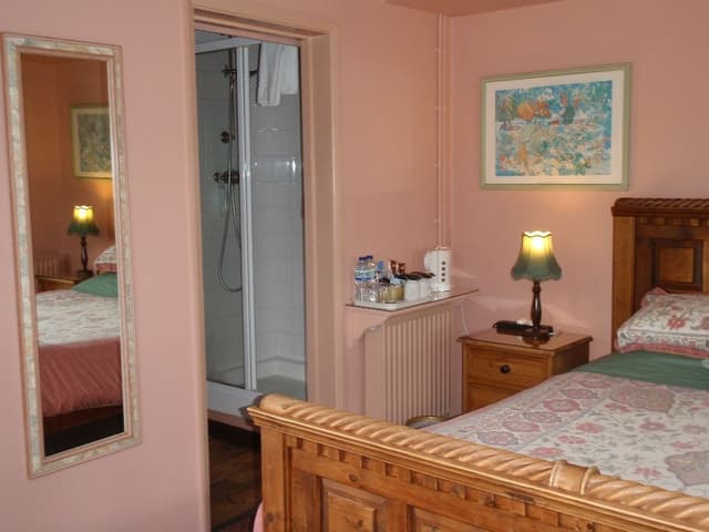 Double Room Single Use, 1 King Bed, Ensuite