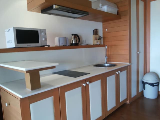 1 Bedroom Apartment, Lake View