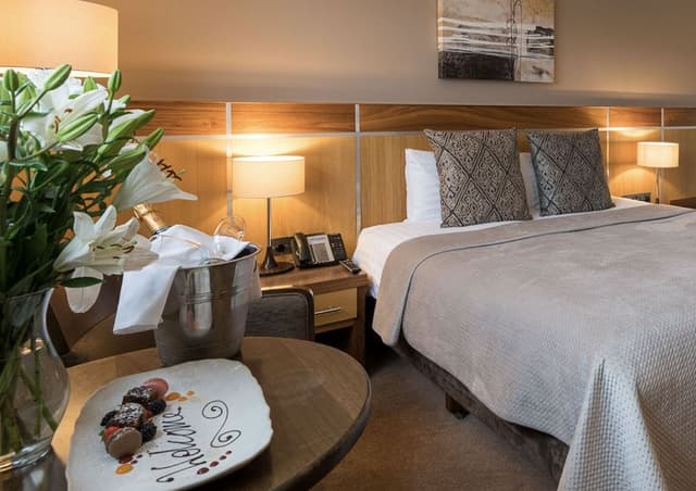 Deluxe Double or Twin Room, 1 King Bed