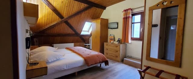Basic Double Room