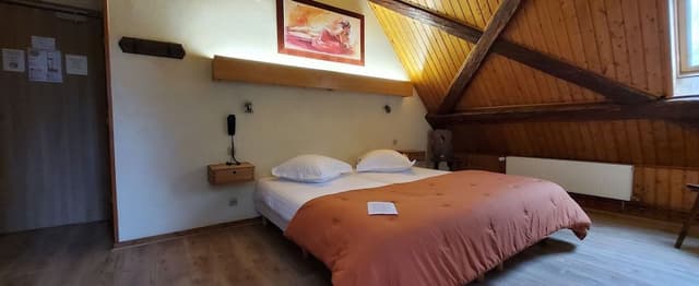 Basic Double Room