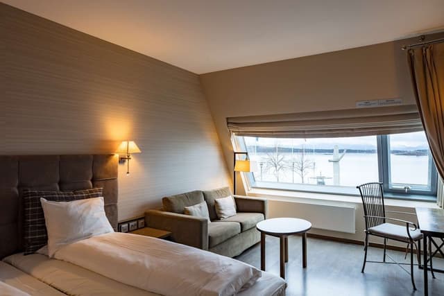 Room, 1 King Bed