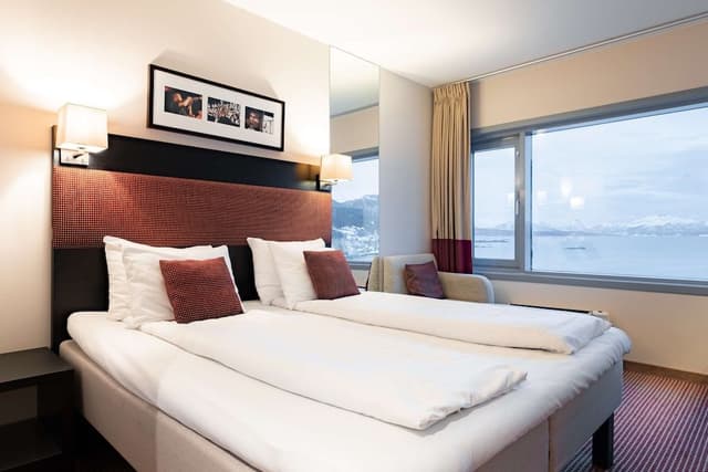 Room, 1 King Bed