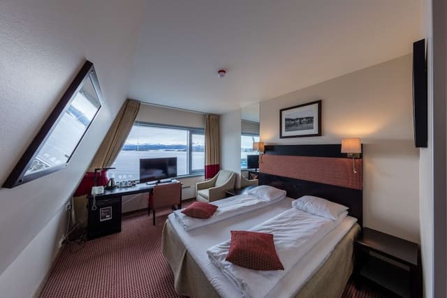 Room, 1 King Bed