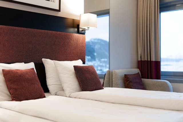 Room, 1 King Bed