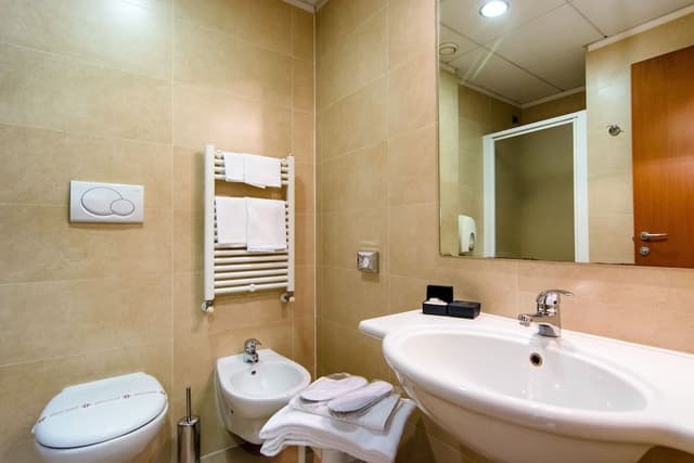 Double Room Single Use
