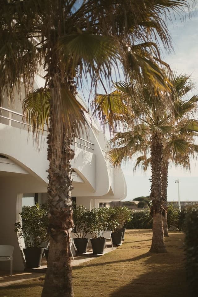 Room, Terrace, Garden View