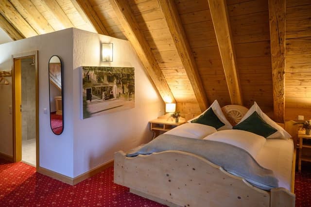 Double Room (Muehlenhotel)