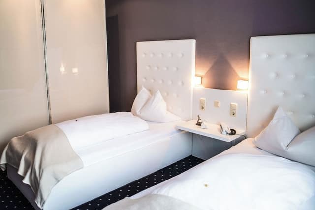 Basic Double or Twin Room