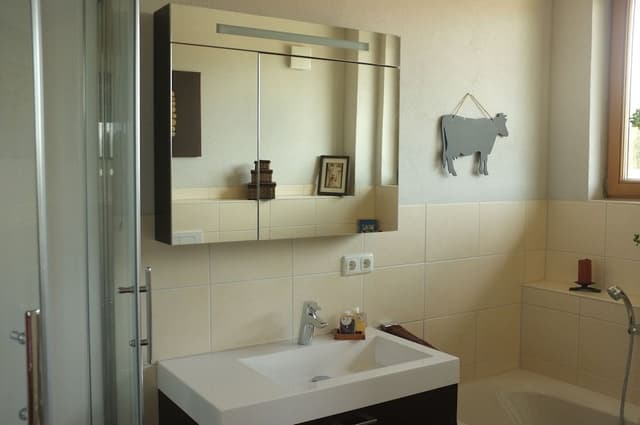 Premier Apartment, Balcony (Penthouse)