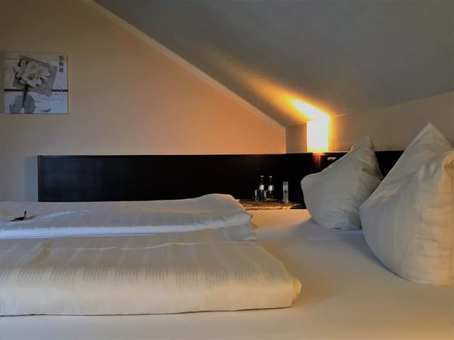Basic Double Room