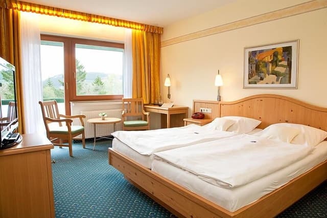 Standard Double Room Single Use, 1 Bedroom, Non Smoking, Balcony