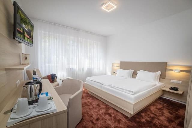 Standard Double or Twin Room, City View