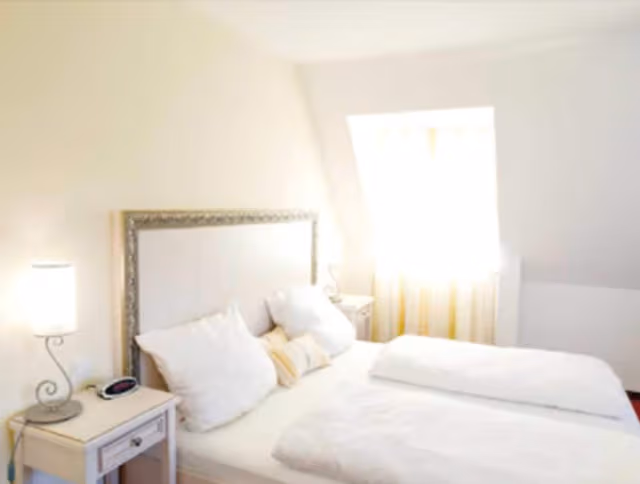 Comfort Double Room, 1 Queen Bed