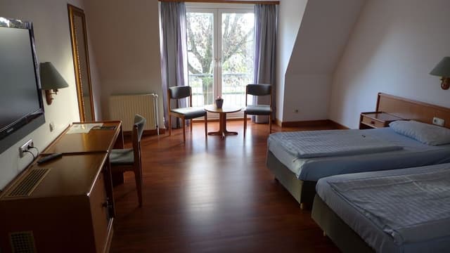 Comfort Single Room, Park View