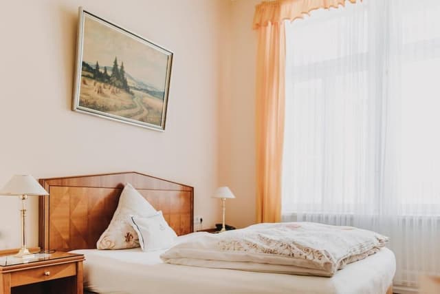 Comfort Single Room