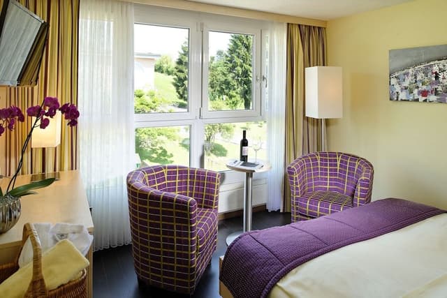 Standard Double Room, Balcony, Lake View