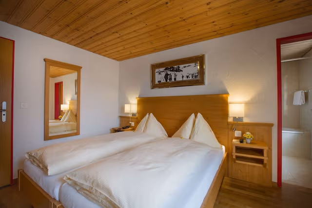 Standard Double Room (Panorama)