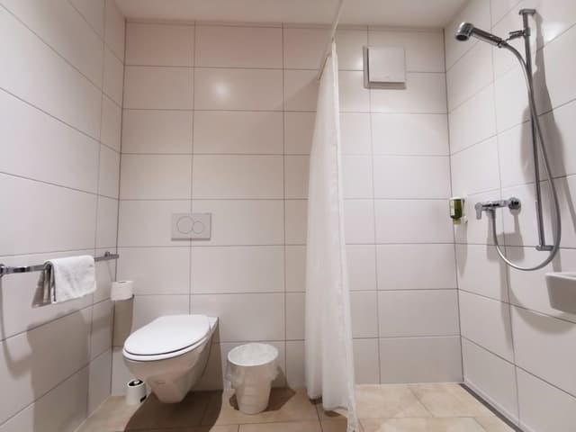 Basic Triple Room