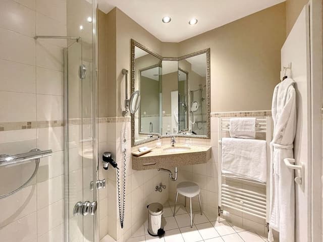 Superior Single Room