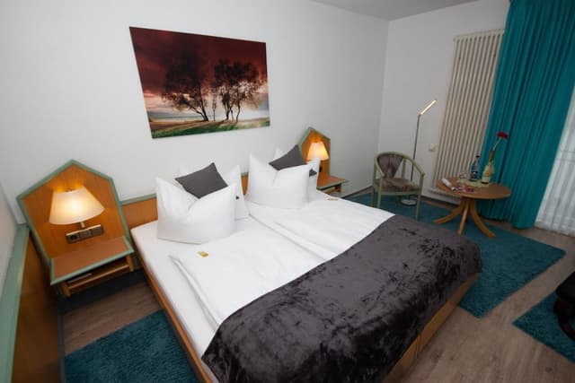 Superior Single Room
