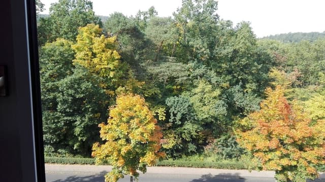Apartment (Kurparkblick)