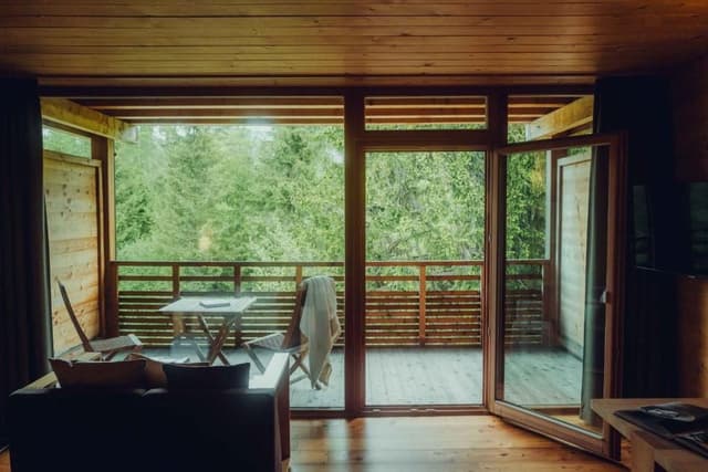 Forest Room