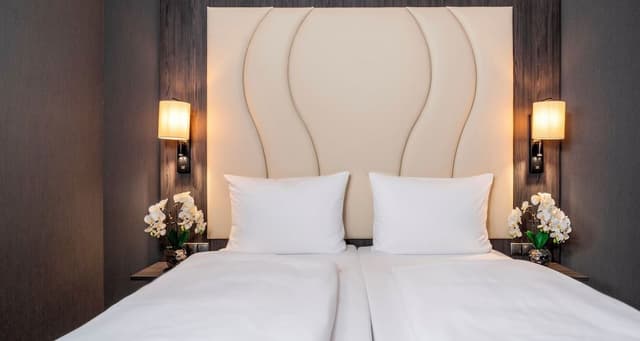 Comfort Single Room, Park View