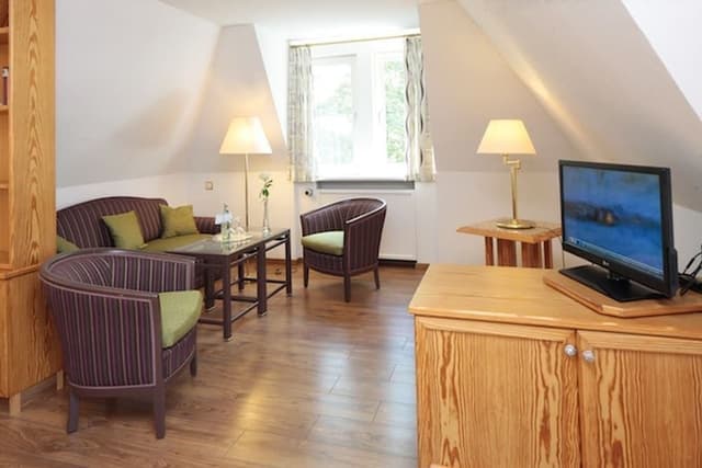 Junior Suite, 1 Queen Bed, Non Smoking, Private Bathroom