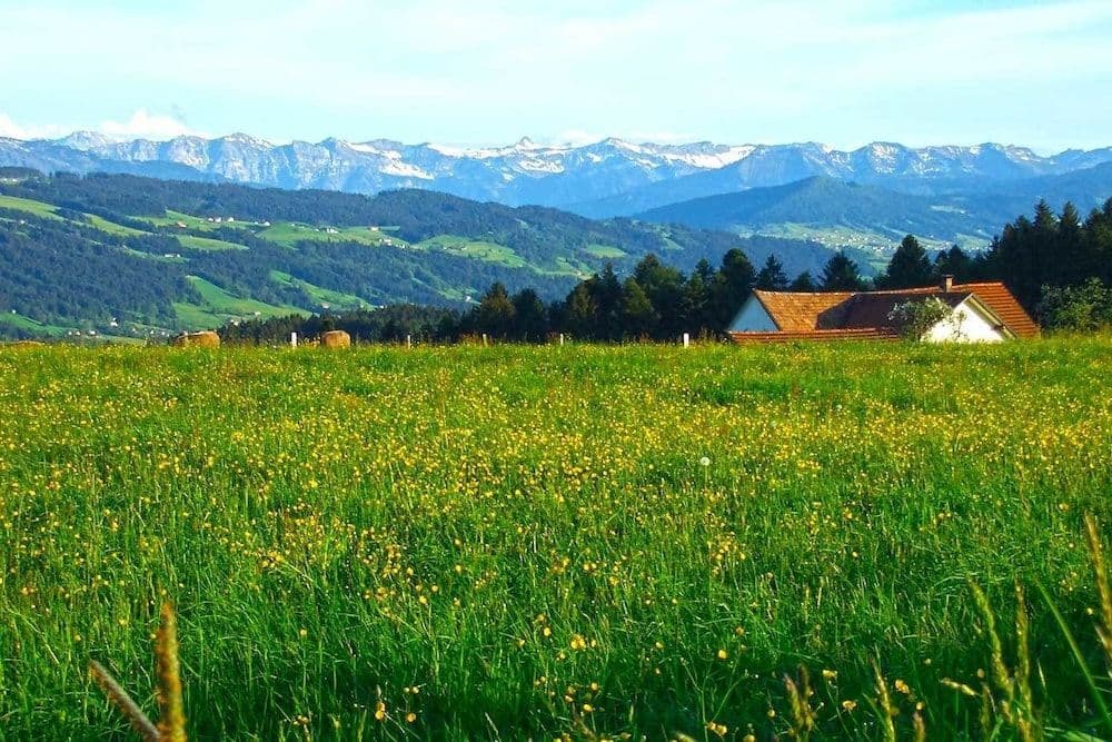 Hotel Allgau Garni