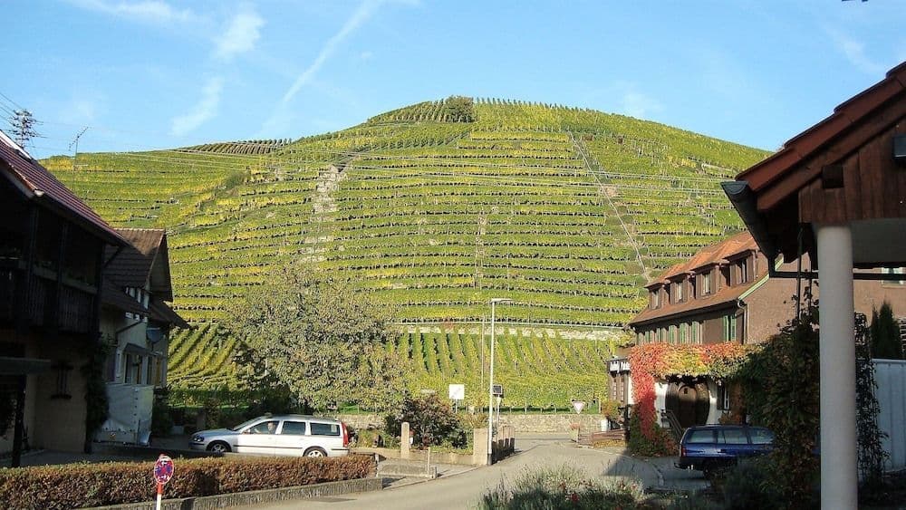 Hotel Altenberg Hotel Altenberg