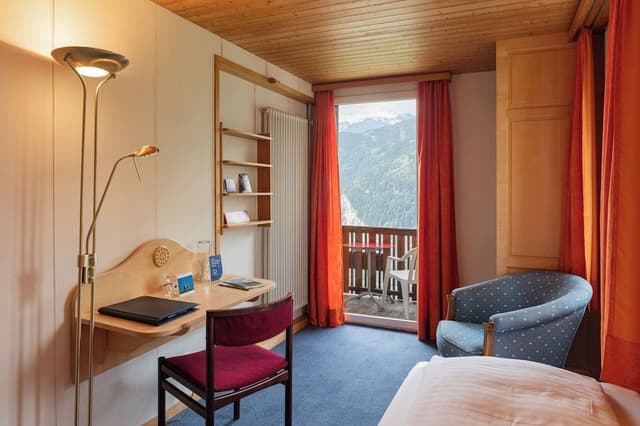 Single Room, Balcony, Mountain View
