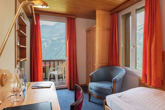 Single Room, Balcony, Mountain View