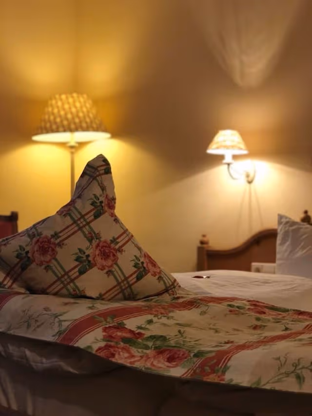 Business Single Room, Vineyard View