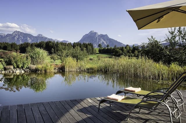 Luxury Chalet, 1 Bedroom, Fireplace, Pool View