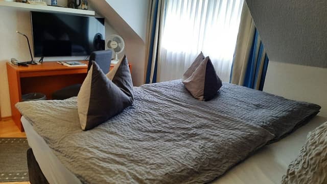 Standard Double Room, Private Bathroom (Doppelzimmer Standard)