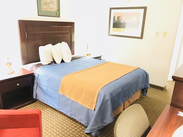 Standard Room, 1 Queen Bed, Non Smoking