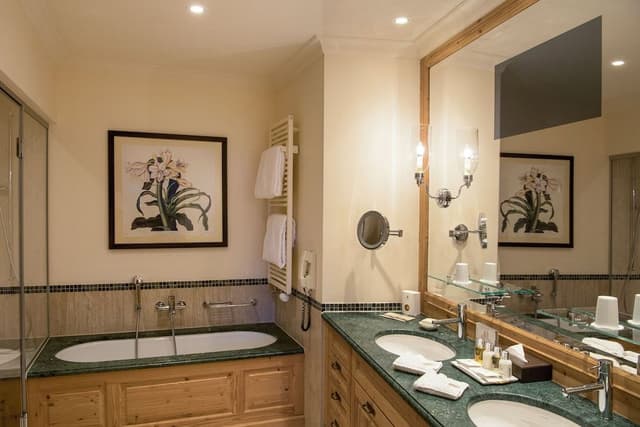 Deluxe Suite Mountain View