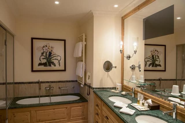 Deluxe Suite Mountain View