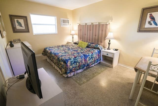 Deluxe Room, 1 King Bed