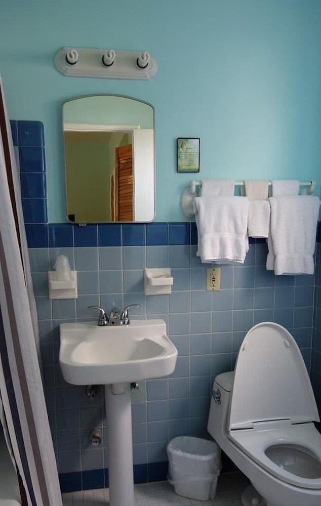 Deluxe Studio Suite, 1 Queen Bed with Sofa bed, Kitchen