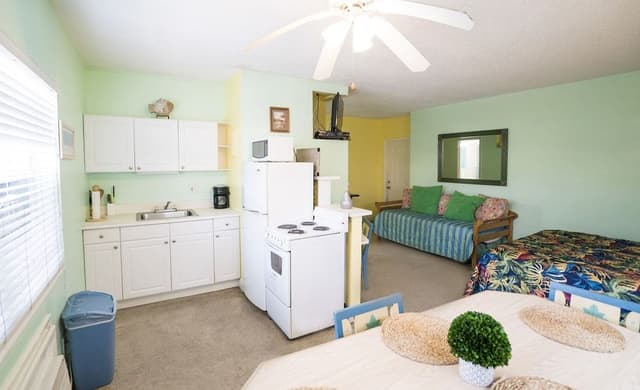 Deluxe Studio Suite, 1 Queen Bed with Sofa bed, Kitchen