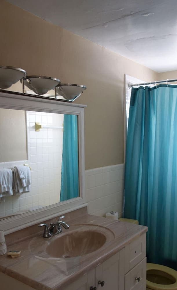 Deluxe Studio Suite, 1 Queen Bed with Sofa bed, Kitchen