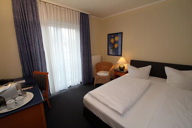 Double Room Single Use, 1 Double Bed