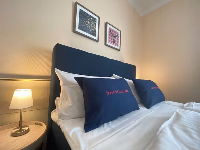Basic Single Room