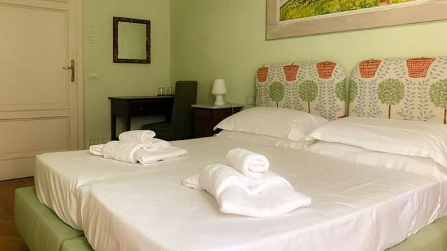 Camera Verde